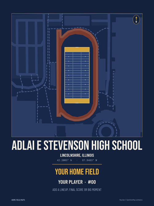 Adlai E Stevenson High School map print, team navy gold style