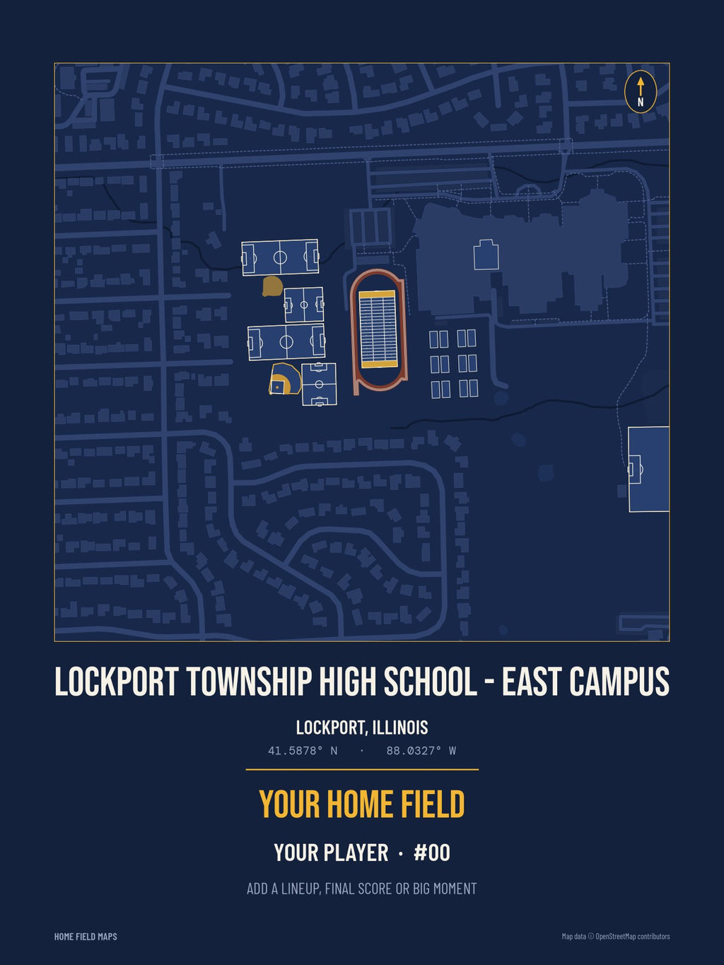 Lockport Township High School - East Campus map print, team navy gold style
